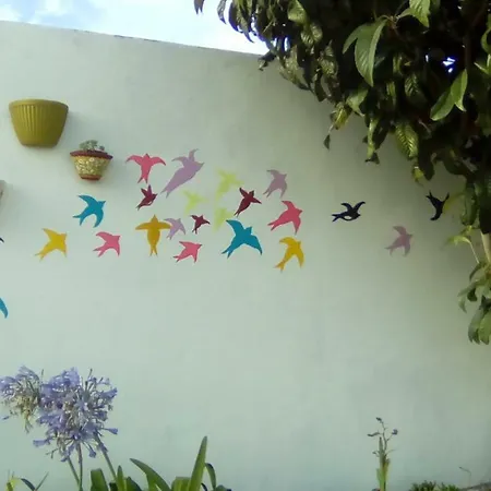 Casas Do Barrio Villa Alcobaca Exterior photo